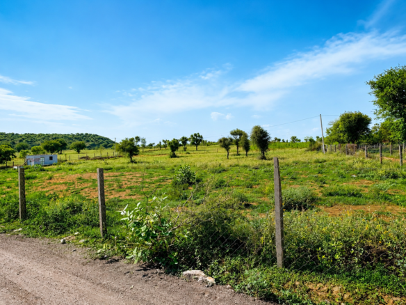 Boraj To Phulera Agricultural Land
