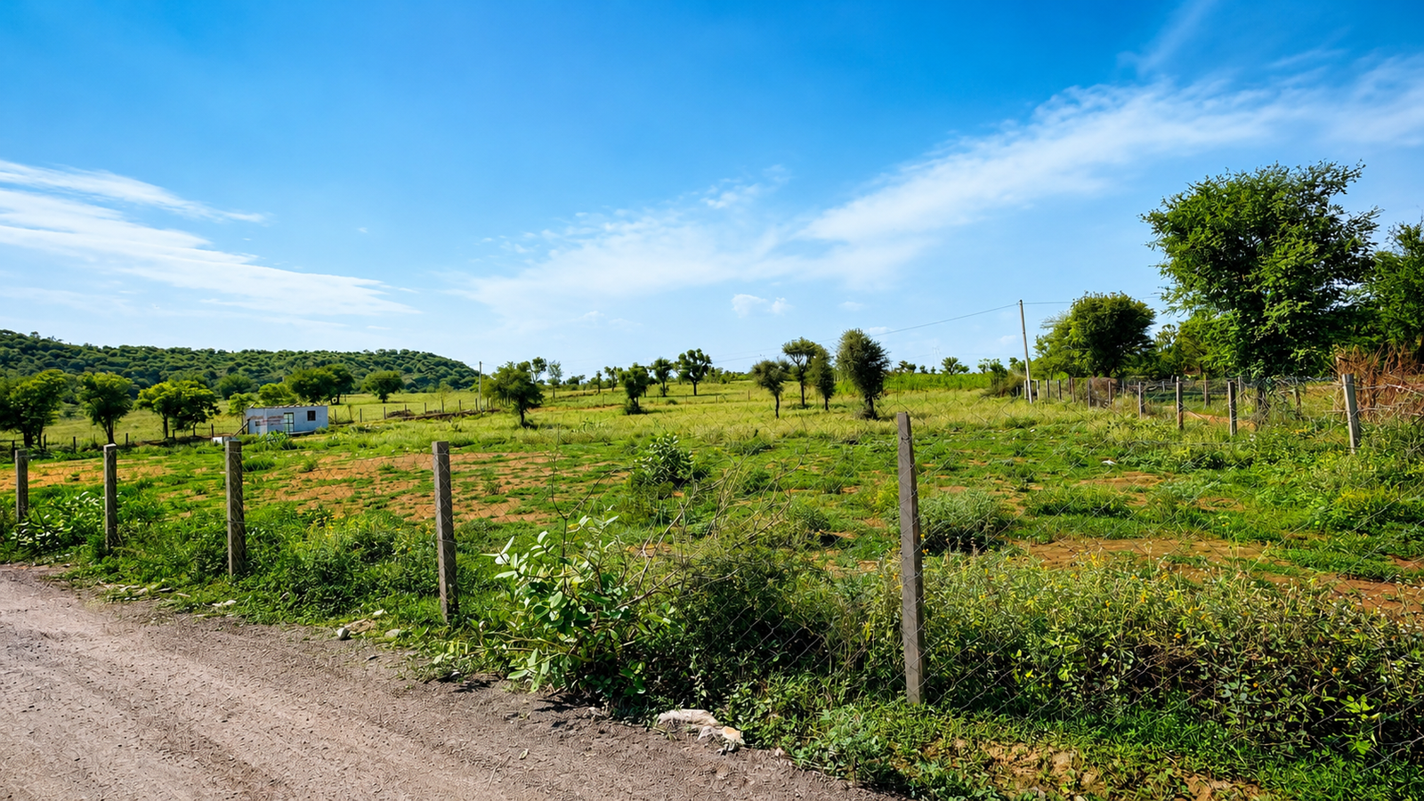 Boraj To Phulera Agricultural Land