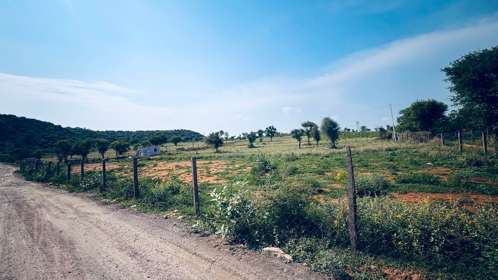Boraj To Phulera Agricultural Land