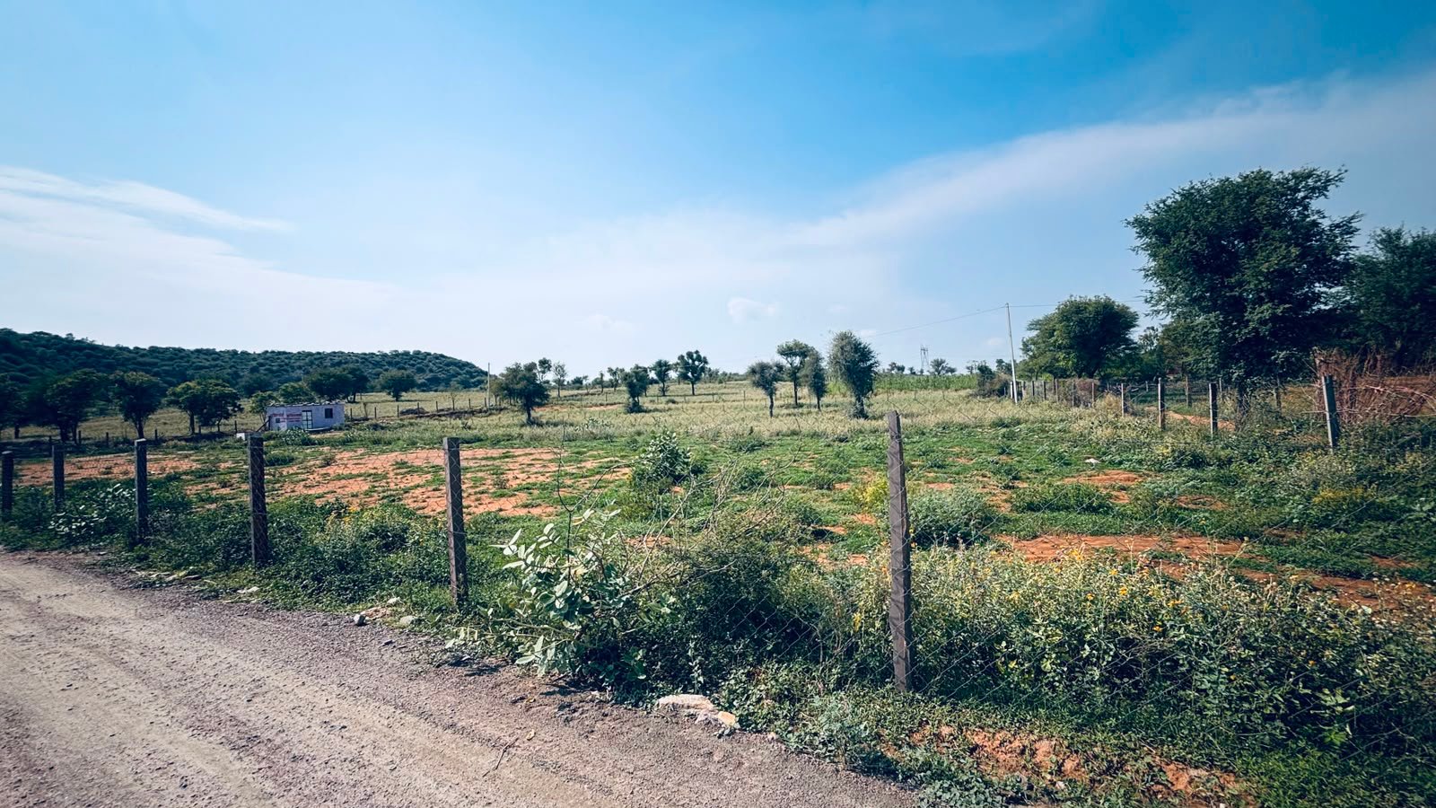 Boraj To Phulera Agricultural Land