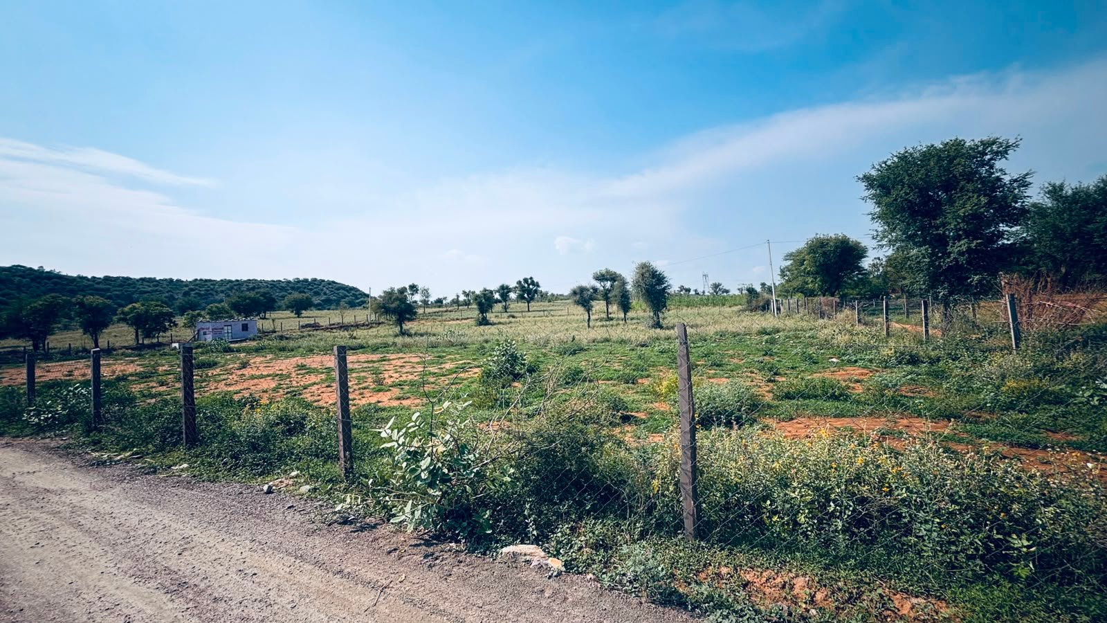 Boraj To Phulera Agricultural Land